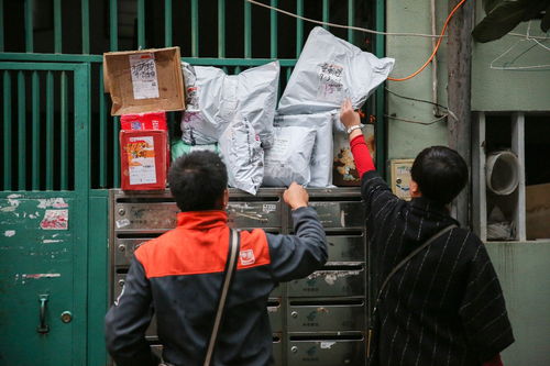 韵达快递之家 如何保障快递安全与效率