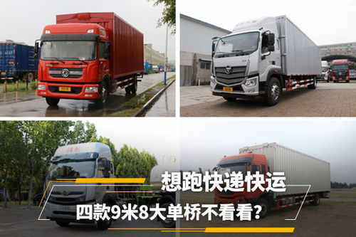 青云志演员表金铃夫人 青云志演员表金铃夫人