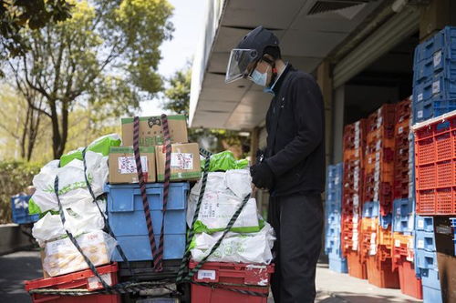 韵达快递单号有几位数字