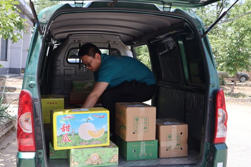 生态环境部 国六排放标准未实施地区将延期实