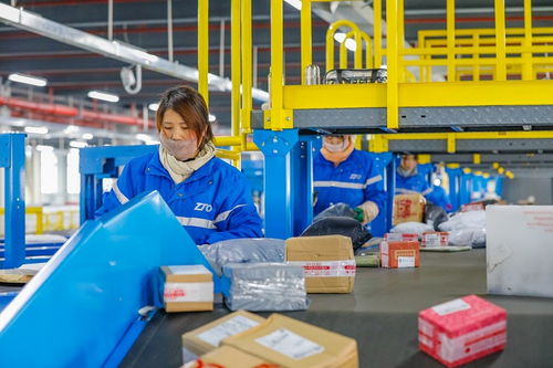 国内物流公司官网查询