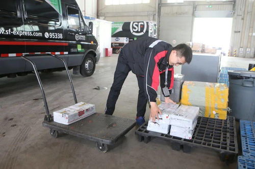 互联网+物流园区 今年温州将建16个物流中心