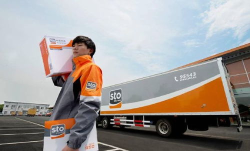 顺丰猫狗快递多少钱