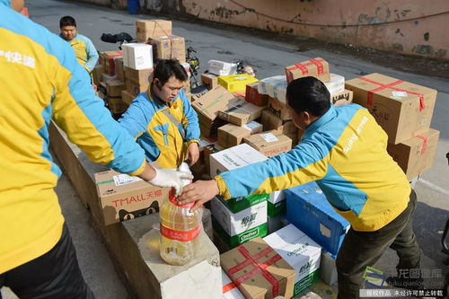 怎么查询自己的快递到哪里了 怎么查询自己的快递到哪里了