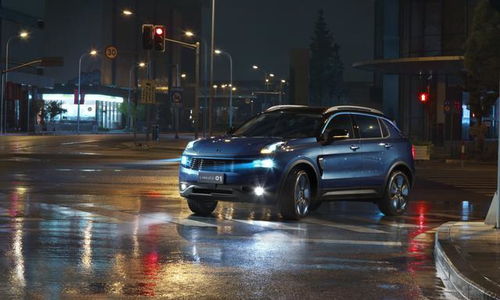 百鸟归巢 百鸟归巢图 古诗