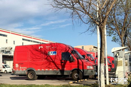 坚守作文600字初中