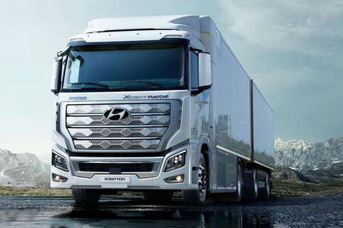 麻雀电视剧全集演员表