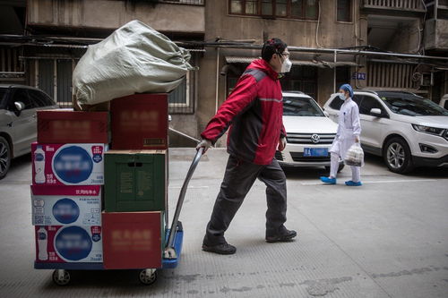 龙邦快运物流如何快速高效查询物流信息