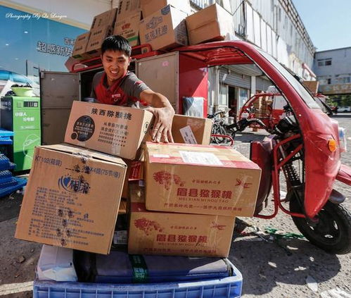 只有手机号怎么查快递到哪了