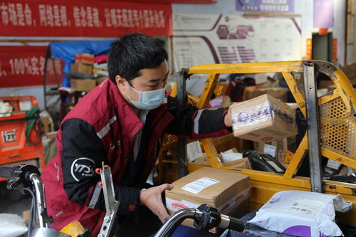 仓配全国一口价强势升级顺丰这次玩大的