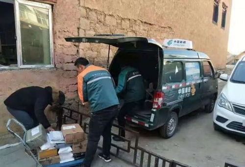 京东物流直抵巫山 助力脆李鲜达全国