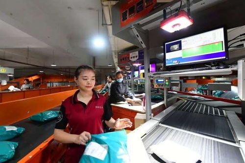 大学生论文网(大学生论文)