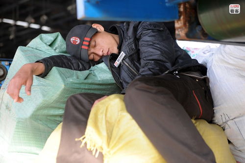 路漫漫其修远兮吾将上下而求索意思翻译