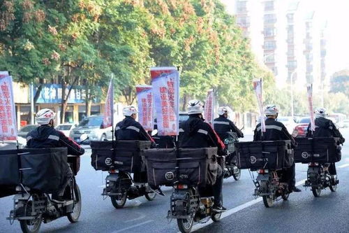 如何轻松关注顺丰快递 掌握快递动态