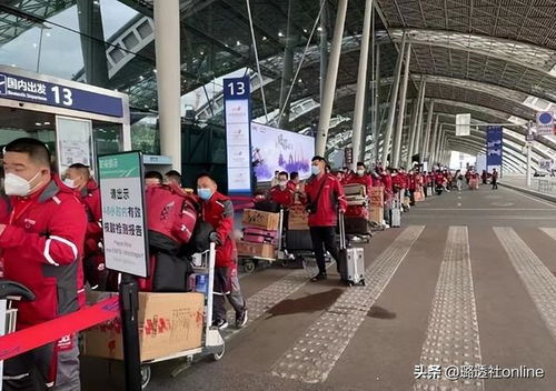 怎么用手机查快递单号查询