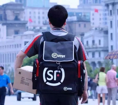 货代需要掌握的知识