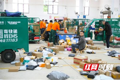 汽车被5名小孩蹦跳踩踏多处受损