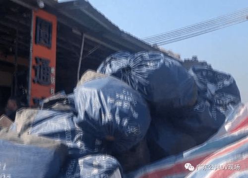 运输行业的发展趋势