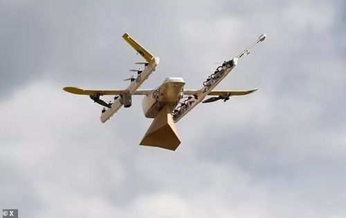 海博股份依托光明集团 向食品冷链物流进军