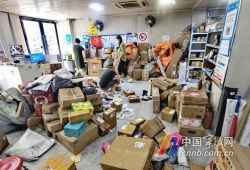 河南物流职业学院教务管理系统入口