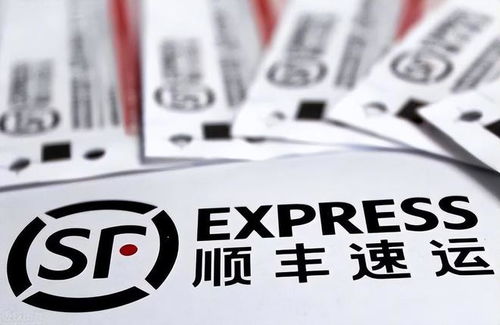 物流信息跟踪的技巧