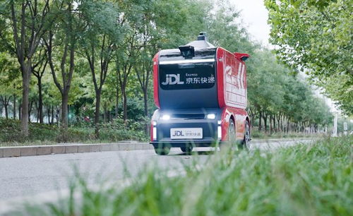 鲸鱼肉好吃吗鲸鱼肉贵不贵