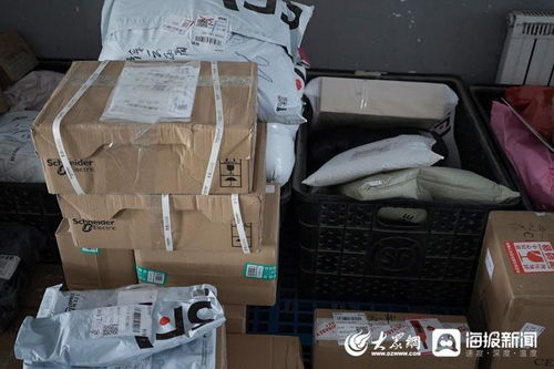 龙游快递岗位招聘,有哪些职位和待遇 龙游快递岗位招聘,有哪些职位和待遇