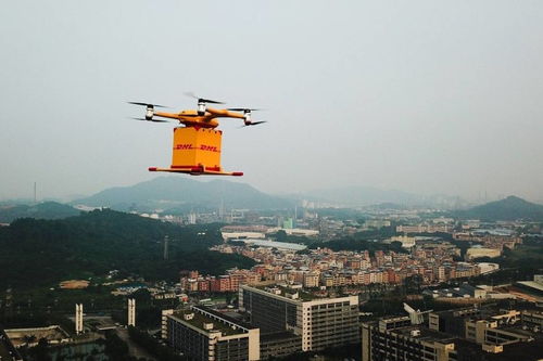 为什么这些TOP服装品牌2025双十一都选择了顺丰