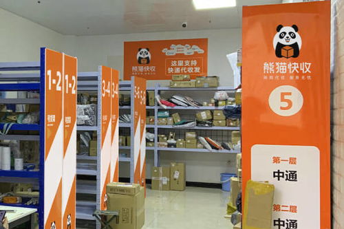 114号码百事通官网