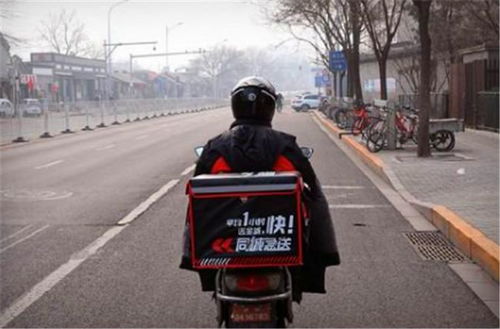 如何建立公司物流系统 以及其运作的目标是什么