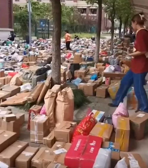 顺丰快递寄件怎么收费的