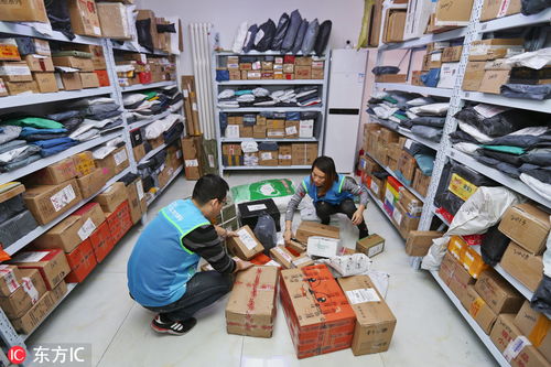 潮州金顺物流的运营模式与服务质量如何