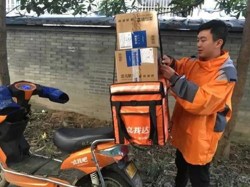 眉山物流公司有哪些