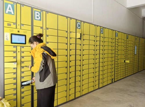 中国物流蓝皮书发布 2025年行业趋稳放缓