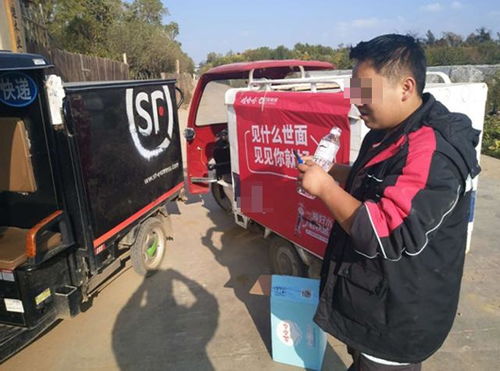 快递查询输入电话号码查询