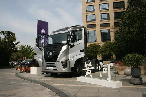 梁洁电视剧(白色橄榄树陈哲远梁洁电视剧)