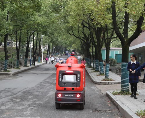 申通物流货运单号查询 申通物流货运单号查询