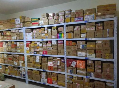 居民废弃酒瓶中砸出过冬眼镜蛇 徒手捕捉操作太野