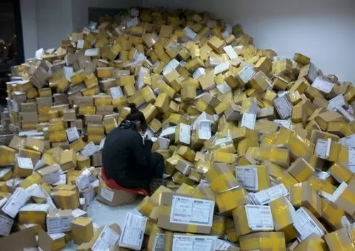 嵌入式开发培训都有哪些课程