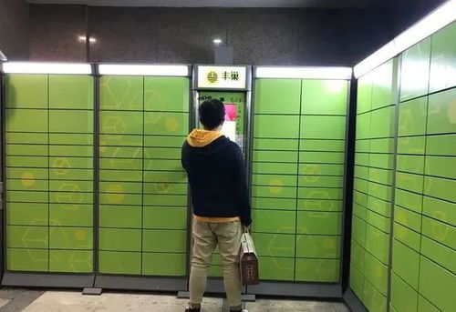 瑞通物流如何保障高效运输服务 瑞通物流如何保障高效运输服务