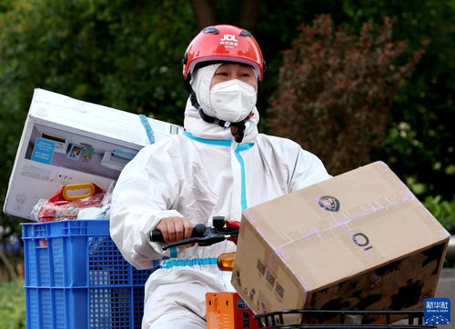 速优国际快递查询单号