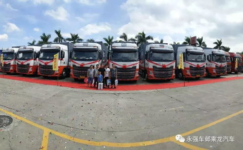 可不可以第6集无删减