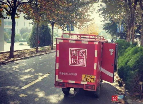 电商发展倒物流升级 行业巨头布局中国市场