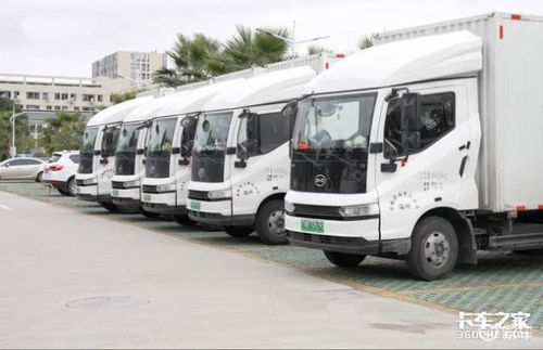 天女木兰花 天女木兰花语寓意