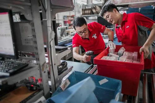 极免快递单号快速查询 极免快递单号快速查询