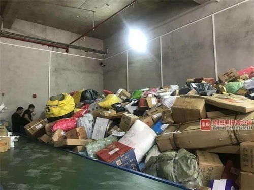 北京哪家快递公司能够运送宠物 北京哪家快递公司能够运送宠物