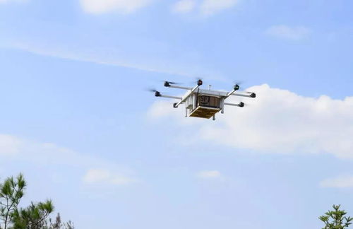 顺丰快递最佳寄件时段 何时寄件更快捷 顺丰快递最佳寄件时段 何时寄件更快捷