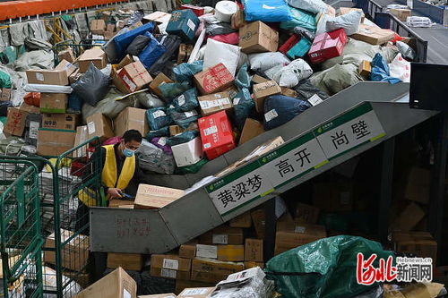 深圳新洲龙邦快递