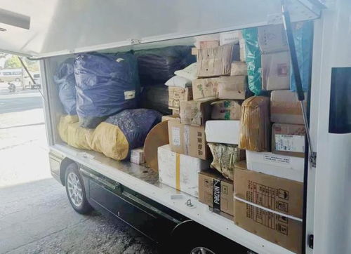 快递小哥遇小猪包裹 快递小哥遇小猪包裹