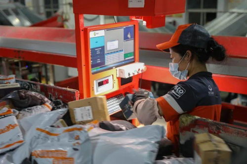 山东理工大学研究生处